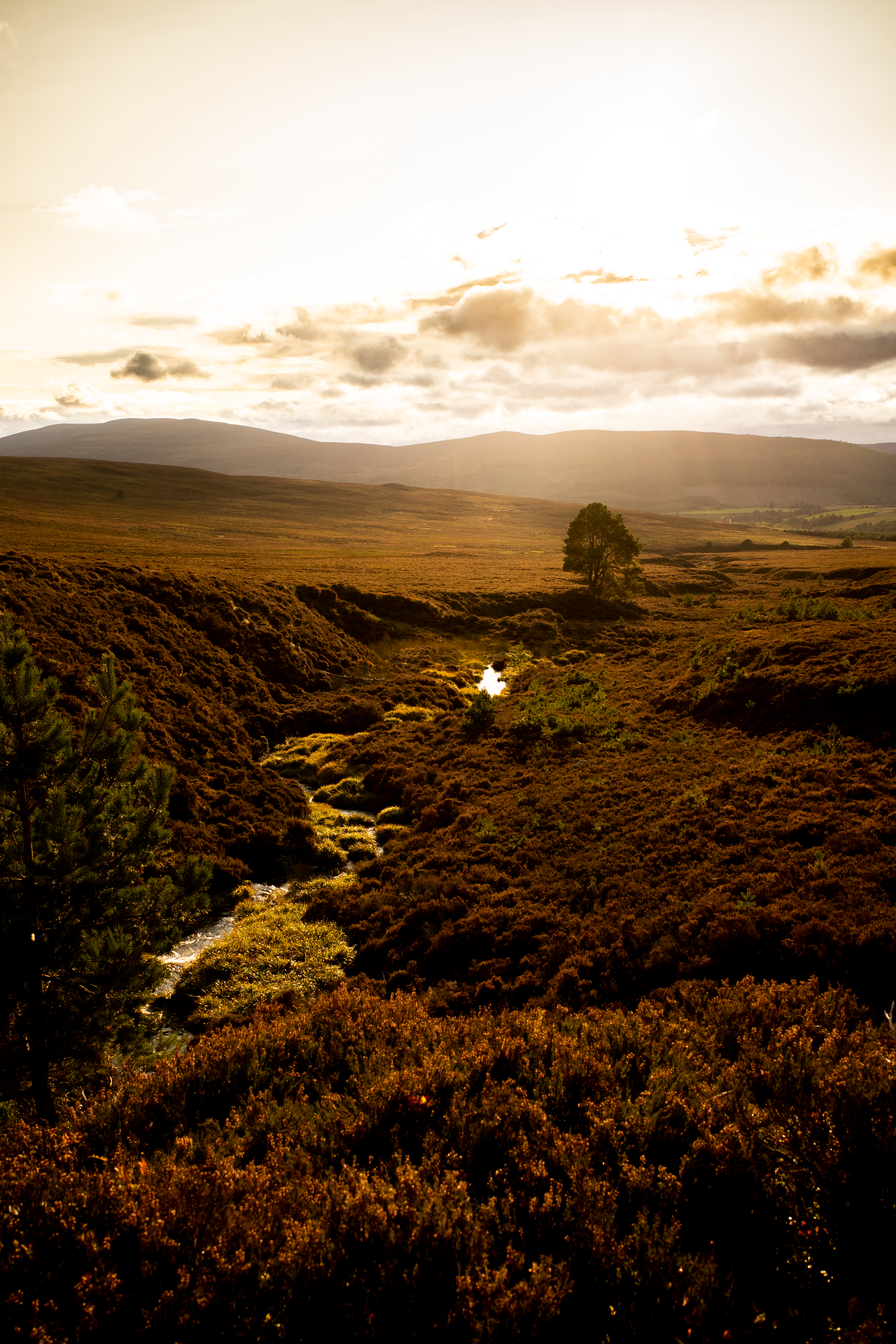 Daylight image of Speyside Scotland